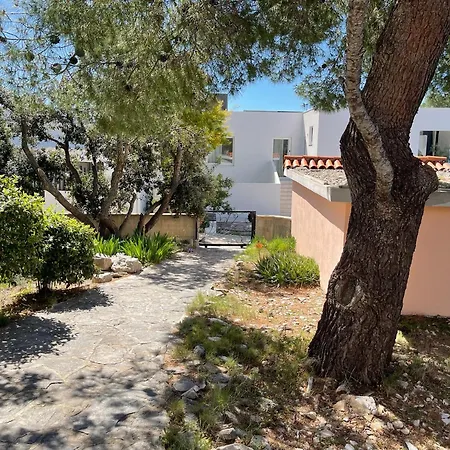 Villa Punta Maslinica