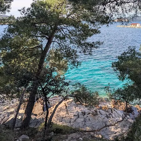 Punta ماسلينيتسا