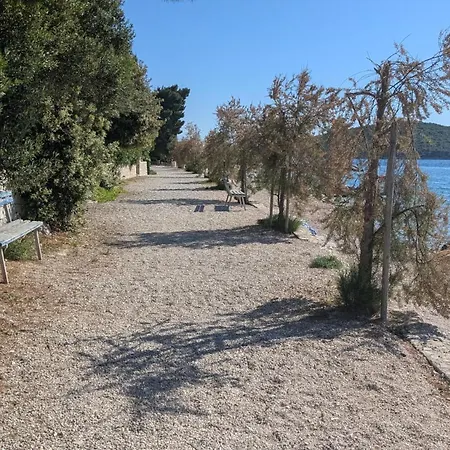 Punta * ماسلينيتسا