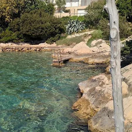 فيلة Punta *
